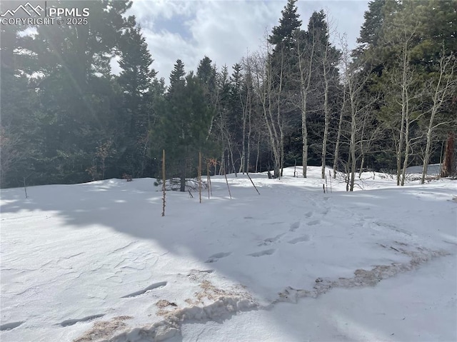 146 Gibson Rd, Westcliffe CO, 81252 land for sale