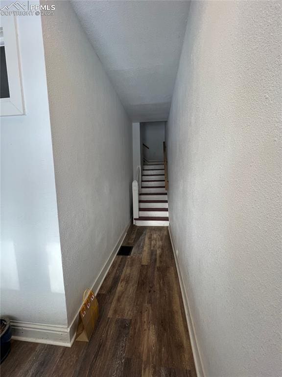 hall featuring dark hardwood / wood-style floors