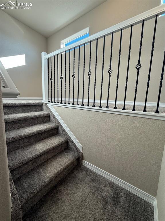 stairway with carpet