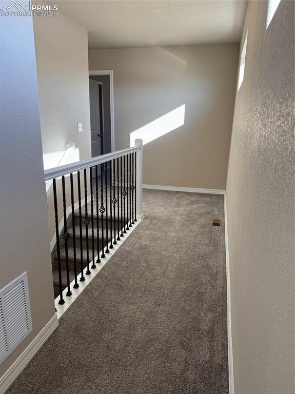 corridor with carpet flooring and a skylight