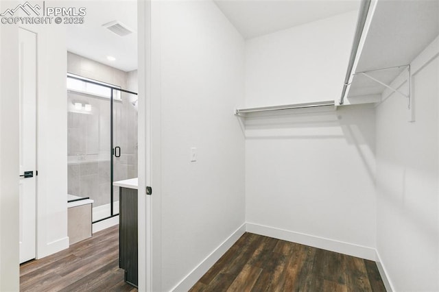 spacious closet featuring dark hardwood / wood-style flooring