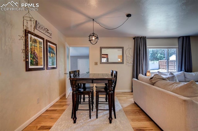 dining area with light hardwood / wood-style floors