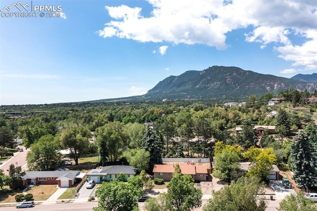 birds eye view of property with a mountain view