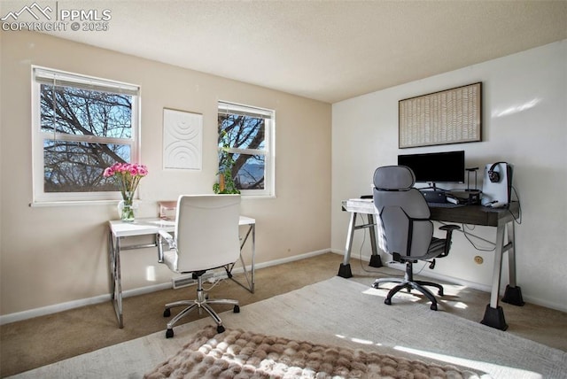 office area featuring light carpet