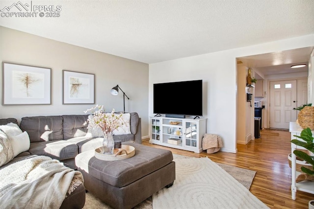 living room featuring wood-type flooring and a textured ceiling