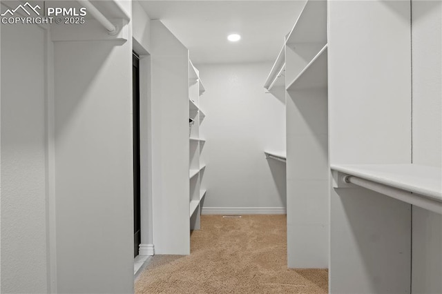 spacious closet featuring light carpet