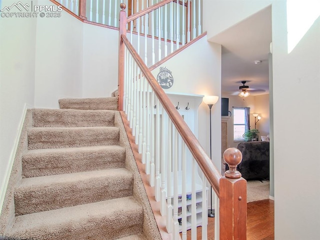 staircase with wood-type flooring, a towering ceiling, and ceiling fan