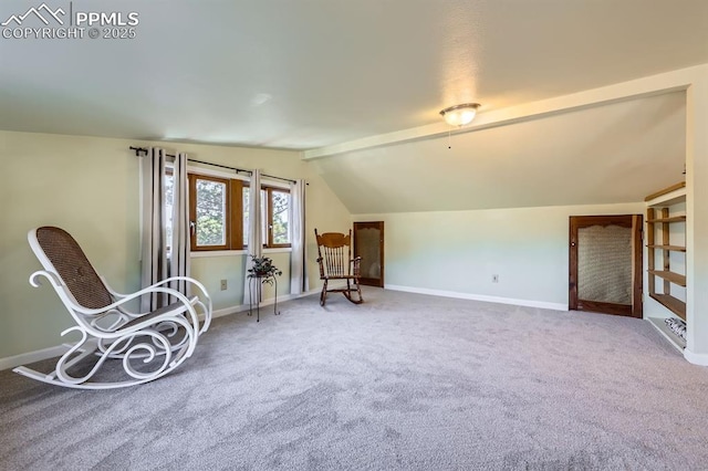 unfurnished room with lofted ceiling and carpet