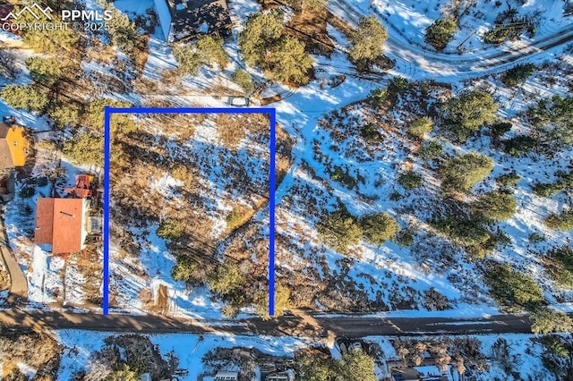 0 Buena Vista Ave, Palmer Lake CO, 80133 land for sale