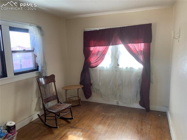 living area with hardwood / wood-style floors