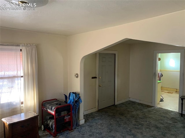 interior space featuring carpet and a textured ceiling