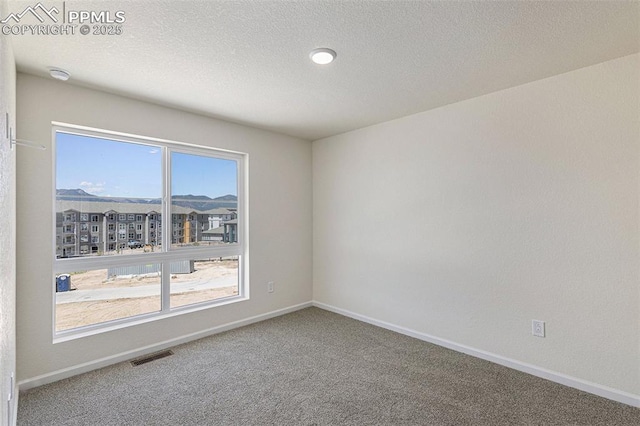 empty room with carpet flooring, a mountain view, and a textured ceiling