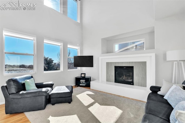 living room with a high ceiling and wood-type flooring