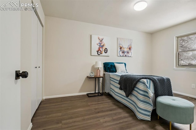 bedroom with dark hardwood / wood-style floors and a closet