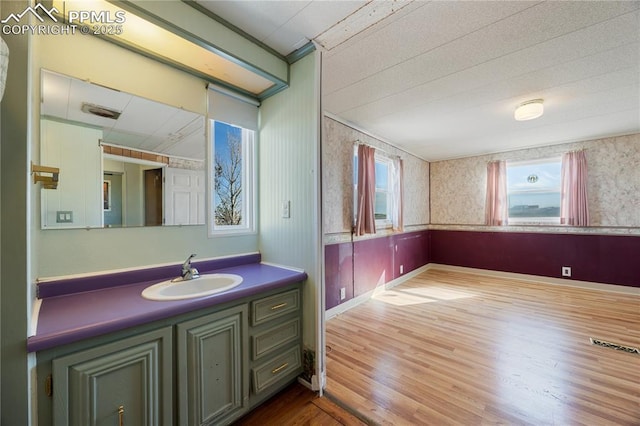 bathroom featuring vanity and hardwood / wood-style flooring