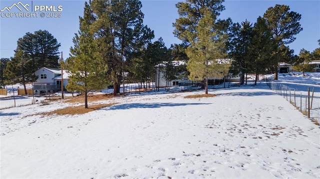 view of yard covered in snow