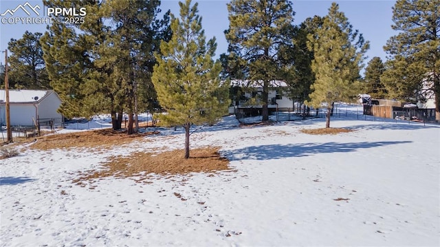 view of yard covered in snow