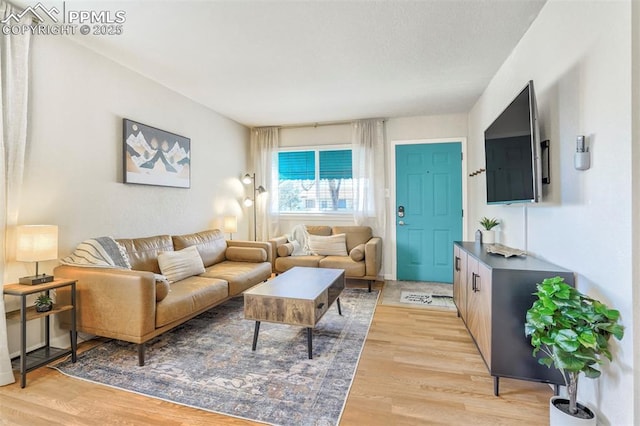 living room with light wood-type flooring