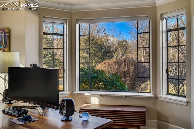 interior details featuring ornamental molding