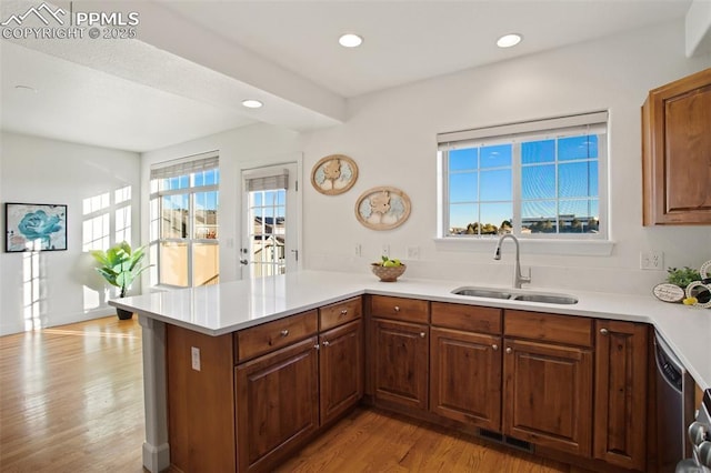 kitchen with sink, stainless steel dishwasher, light wood-type flooring, and kitchen peninsula