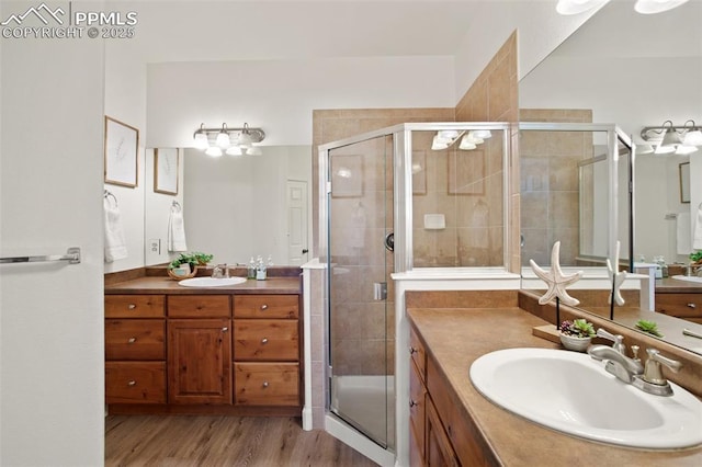 bathroom featuring vanity, wood-type flooring, and an enclosed shower