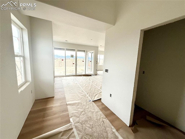 hallway with plenty of natural light and wood finished floors