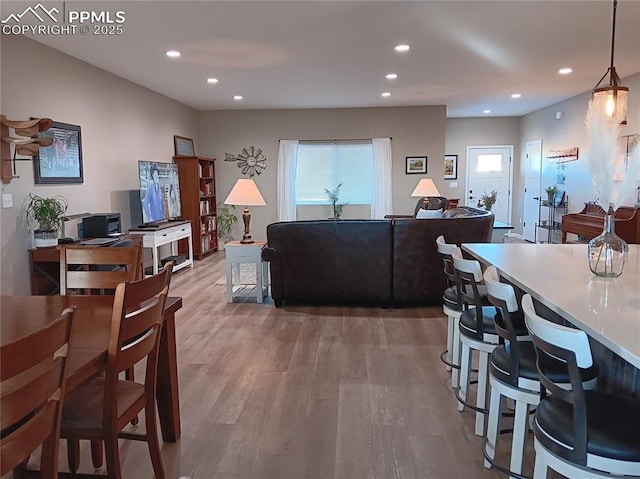 living room featuring hardwood / wood-style floors