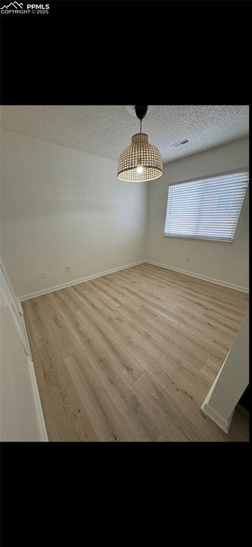 unfurnished dining area with light hardwood / wood-style floors and a textured ceiling