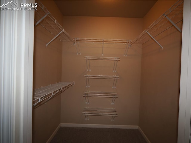 view of spacious closet