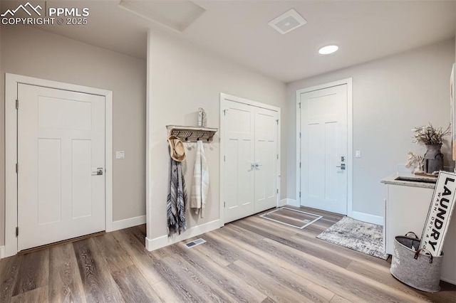 foyer entrance featuring wood-type flooring