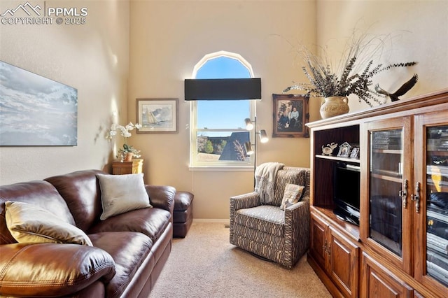 living room with light carpet