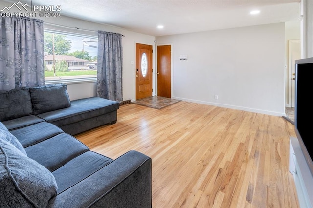 living room featuring hardwood / wood-style flooring