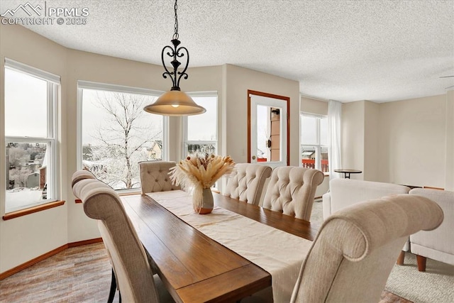 dining room featuring a wealth of natural light, light hardwood / wood-style floors, and a textured ceiling