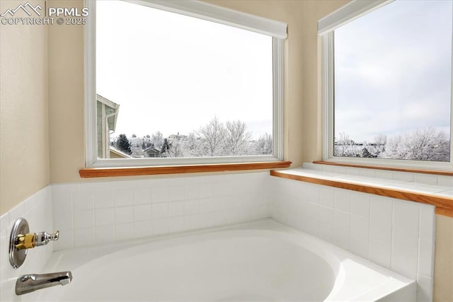 bathroom featuring a washtub