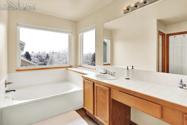 bathroom with a washtub, vanity, and wood-type flooring