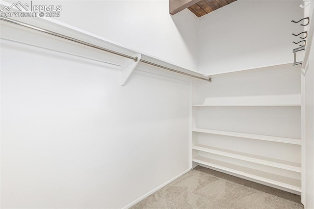 spacious closet featuring carpet