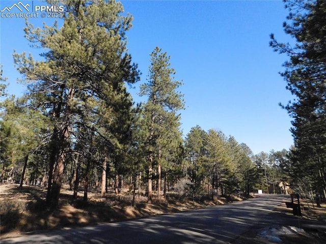 5845 S Pike Dr, Larkspur CO, 80118 land for sale