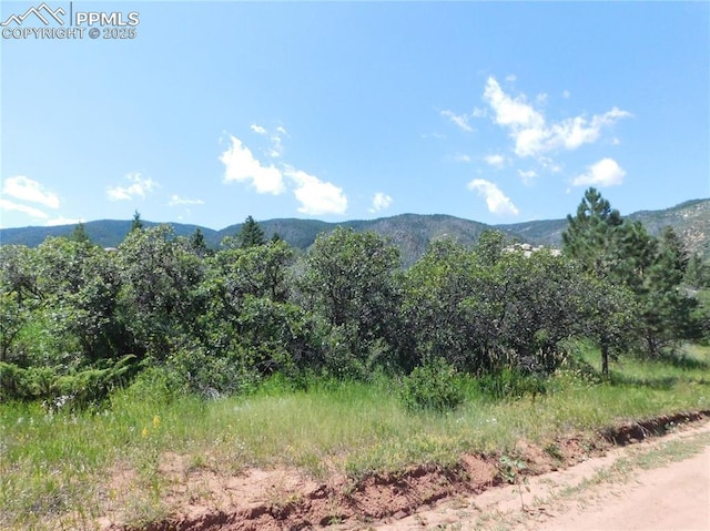 Listing photo 2 for 6382 Country Club Dr, Larkspur CO 80118