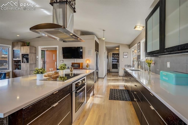 kitchen with lofted ceiling, sink, light hardwood / wood-style flooring, appliances with stainless steel finishes, and island range hood