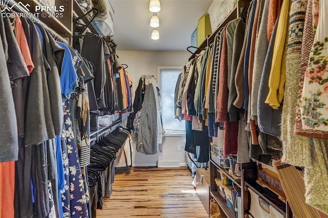 spacious closet featuring hardwood / wood-style floors