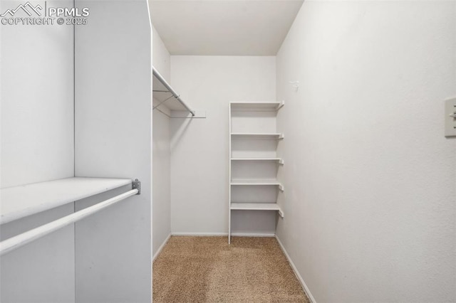 spacious closet featuring light carpet