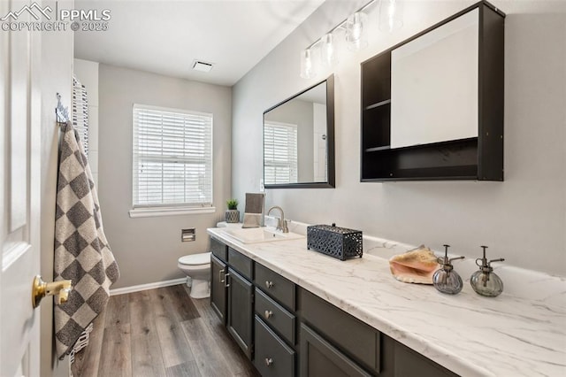 bathroom with vanity, wood-type flooring, and toilet