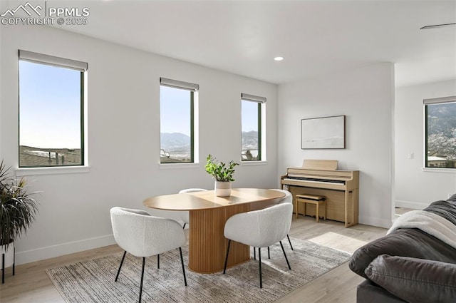 dining area featuring light hardwood / wood-style flooring and a wealth of natural light