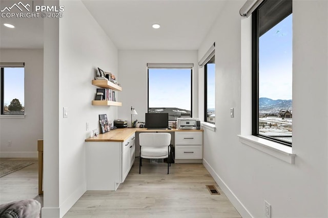 office area featuring light hardwood / wood-style flooring