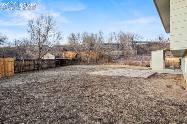 view of yard with a patio area