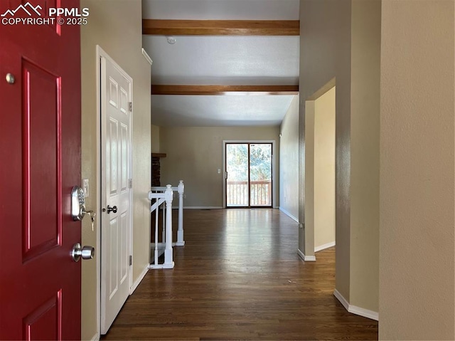 entryway featuring dark wood-type flooring and beam ceiling