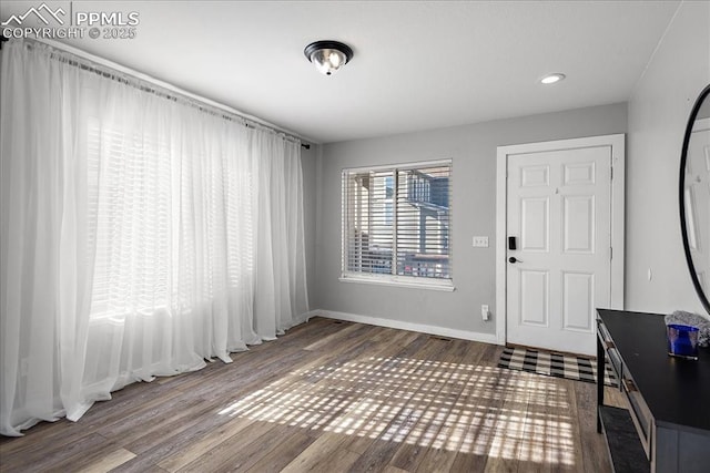 foyer with wood-type flooring