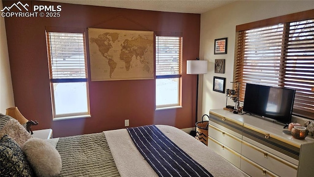 bedroom featuring multiple windows