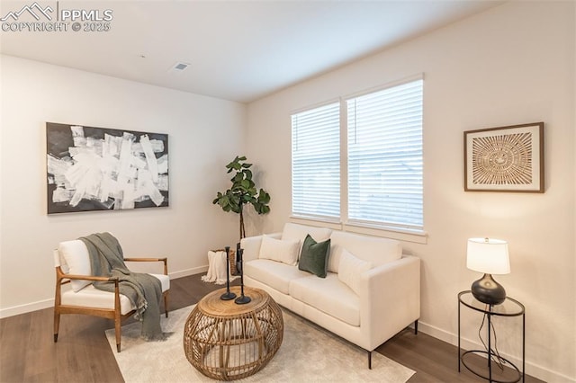 living room with hardwood / wood-style floors