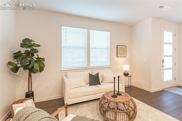 living room featuring dark wood-type flooring